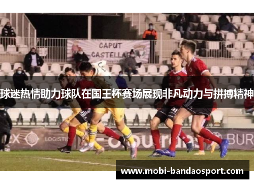 球迷热情助力球队在国王杯赛场展现非凡动力与拼搏精神