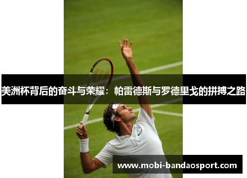 美洲杯背后的奋斗与荣耀：帕雷德斯与罗德里戈的拼搏之路