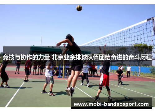 竞技与协作的力量 北京业余排球队伍团结奋进的奋斗历程