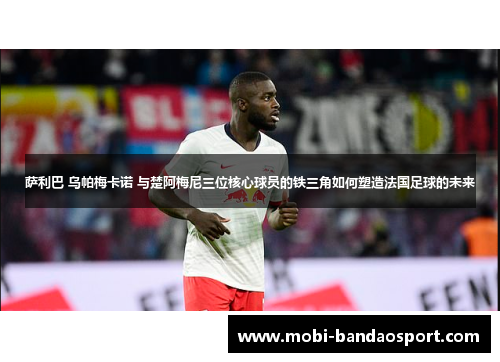 萨利巴 乌帕梅卡诺 与楚阿梅尼三位核心球员的铁三角如何塑造法国足球的未来