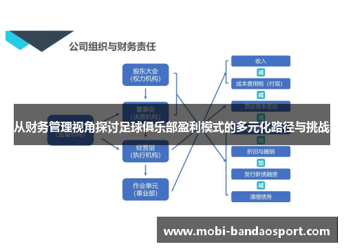 从财务管理视角探讨足球俱乐部盈利模式的多元化路径与挑战