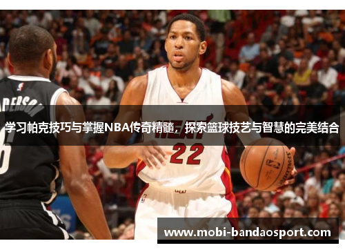 学习帕克技巧与掌握NBA传奇精髓，探索篮球技艺与智慧的完美结合