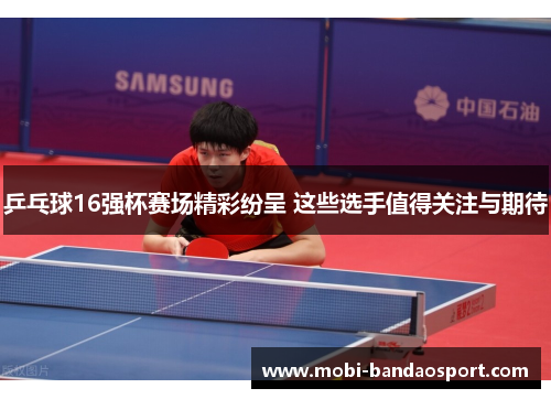 乒乓球16强杯赛场精彩纷呈 这些选手值得关注与期待