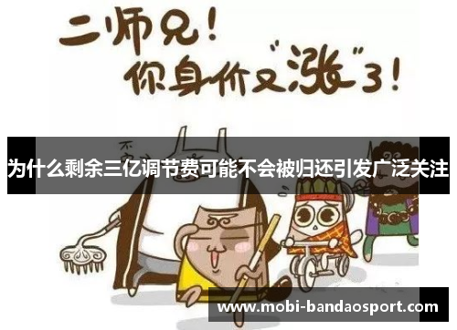 为什么剩余三亿调节费可能不会被归还引发广泛关注