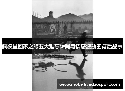 佩德里回家之旅五大难忘瞬间与情感波动的背后故事 佩德里回家之旅五大难忘瞬间与情感波动的背后故事