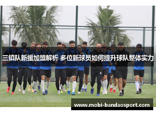 三镇队新援加盟解析 多位新球员如何提升球队整体实力