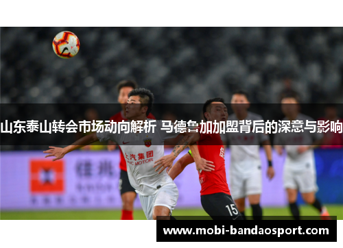 山东泰山转会市场动向解析 马德鲁加加盟背后的深意与影响