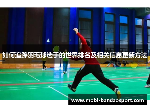 如何追踪羽毛球选手的世界排名及相关信息更新方法