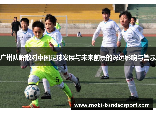 广州队解散对中国足球发展与未来前景的深远影响与警示