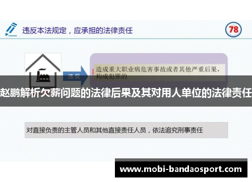 赵鹏解析欠薪问题的法律后果及其对用人单位的法律责任