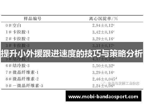 提升小外援跟进速度的技巧与策略分析 提升小外援跟进速度的技巧与策略分析
