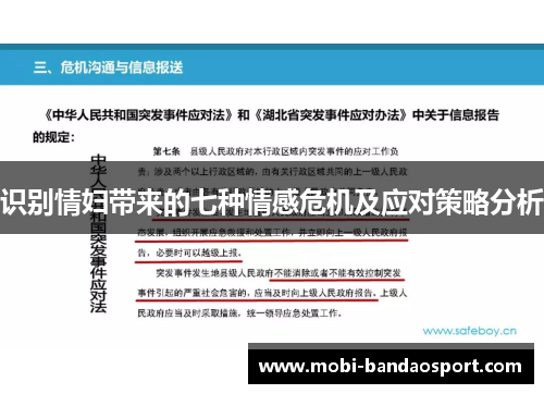 识别情妇带来的七种情感危机及应对策略分析 识别情妇带来的七种情感危机及应对策略分析