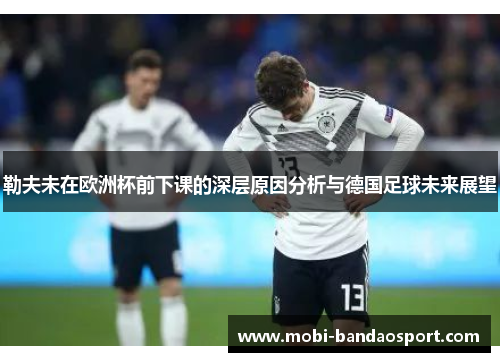 勒夫未在欧洲杯前下课的深层原因分析与德国足球未来展望