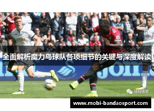 全面解析魔力鸟球队各项细节的关键与深度解读