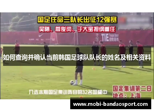 如何查询并确认当前韩国足球队队长的姓名及相关资料