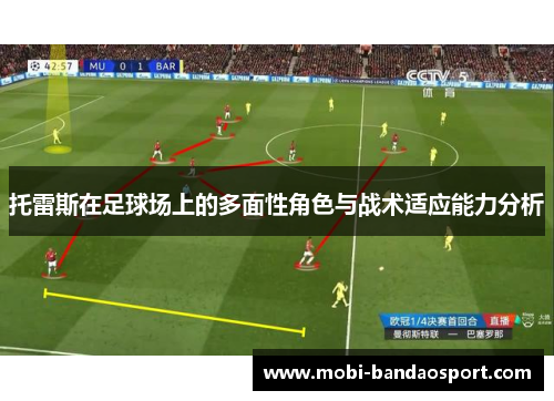 托雷斯在足球场上的多面性角色与战术适应能力分析