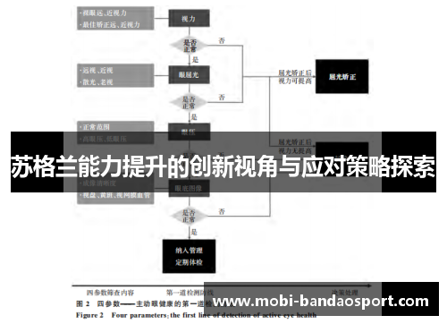 苏格兰能力提升的创新视角与应对策略探索 苏格兰能力提升的创新视角与应对策略探索