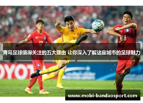 青岛足球值得关注的五大理由 让你深入了解这座城市的足球魅力