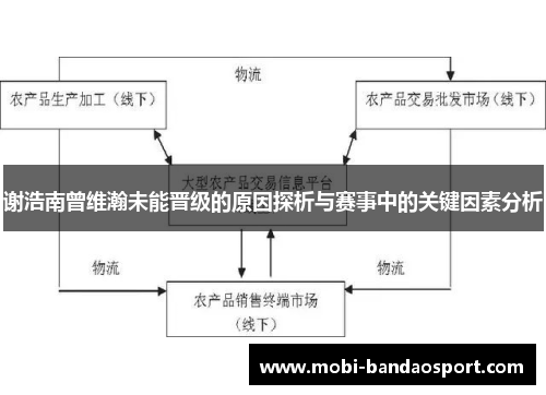 谢浩南曾维瀚未能晋级的原因探析与赛事中的关键因素分析