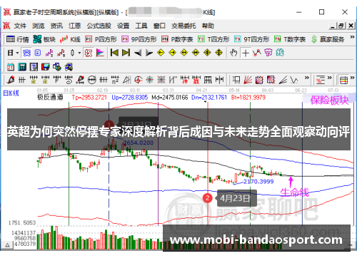 英超为何突然停摆专家深度解析背后成因与未来走势全面观察动向评