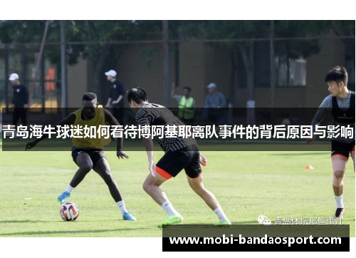 青岛海牛球迷如何看待博阿基耶离队事件的背后原因与影响